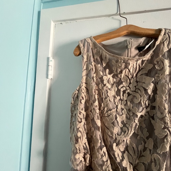 Tadashi Shoji Lace Overlay Dress in Sand, 14 - Picture 4 of 11